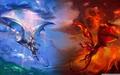 DRX Dragon's Avatar