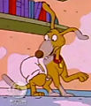 Spike Wearing A Diaper uploaded by P65Industries
